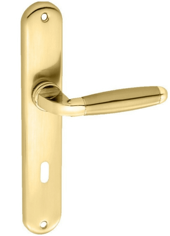 Χερούλι πόρτας πλάκα ζευγάρι χρυσό ματ  Z-023